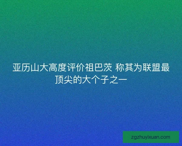 亚历山大高度评价祖巴茨 称其为联盟最顶尖的大个子之一